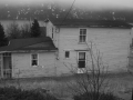 IMG_4236-grayscale