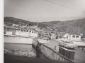 07 Christmas Seal tied up at LHE Eldred Drodges car photo donated William Baldwin