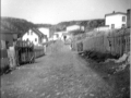 Looking down the Lane from the Hill.