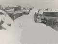 Lower-Side-LHE-1940s-Original-Lester-Green