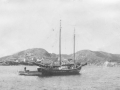 Pop Jacobs NEW schooner