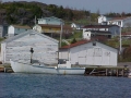 White Dove, trapskiff owned by Everett Lambert at wharf in Little Heart