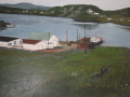 Painting-showing-Eldred-and-Mae-Drodges-business-at-LHE.
