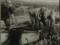 R-L-Azariah-King.-Clarence-King-and-Ralph-Drodge-hauling-codtrap-off-Hatchett-Cove-Point