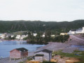 3-Long-Beach-Weldon-Vey-saw-mill-c1970-Frank-Vey-1