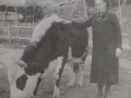 Mary Ann Green (1869-1942) (nee  Seward) of Gooseberry Cove. She was the daughter of Richard and Mary Ann  Seward. She married Jehu Green, son of Levi and Rachael (nee Adey).