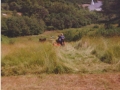 018 William Barrett hauling away hay from Brown property photo donated William Baldwin