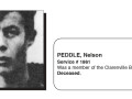 Peddle-Nelson