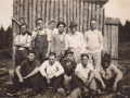 Forestry-Ethel-Peddle