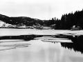May 8-95-B_0011